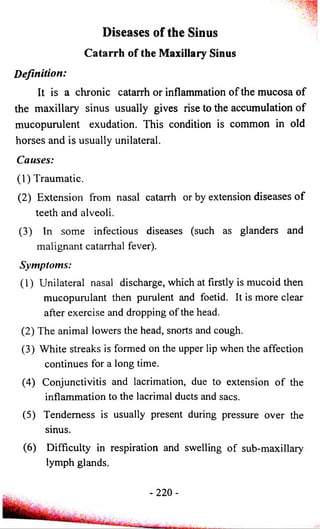 Diseases o f the Sinus 
Catarrh of the Maxillary Sinus 
Definition: 
It is a chronic catarrh or inflammation of the mucosa of 
the maxillary sinus usually gives rise to the accumulation of 
mucopurulent exudation. This condition is common in old 
horses and is usually unilateral. 
Causes: 
(1) Traumatic. 
(2) Extension from nasal catarrh or by extension diseases of 
teeth and alveoli. 
(3) In some infectious diseases (such as glanders and 
malignant catarrhal fever). 
Symptoms: 
(1) Unilateral nasal discharge, which at firstly is mucoid then 
mucopurulant then purulent and foetid. It is more clear 
after exercise and dropping of the head. 
(2) The animal lowers the head, snorts and cough. 
(3) White streaks is formed on the upper lip when the affection 
continues for a long time. 
(4) Conjunctivitis and lacrimation, due to extension of the 
inflammation to the lacrimal ducts and sacs. 
(5) Tenderness is usually present during pressure over the 
sinus. 
(6) Difficulty in respiration and swelling of sub-maxillary 
lymph glands. 
- 2 2 0 - 
 