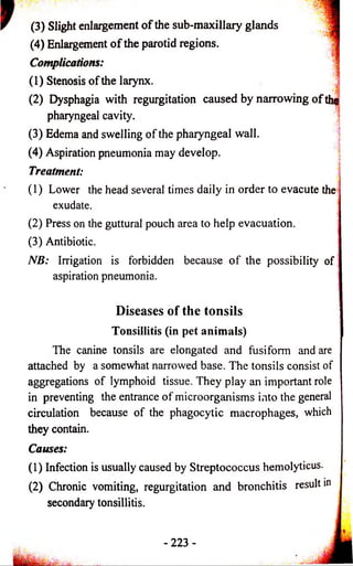 (3) Slight enlargement o f the sub-maxillary glands 
(4) Enlargement o f the parotid regions. 
Complications: 
(1) Stenosis of the larynx. 
(2) Dysphagia with regurgitation caused by narrowing o f the 
pharyngeal cavity. 
(3) Edema and swelling of the pharyngeal wall. 
(4) Aspiration pneumonia may develop. 
Treatment: 
(1) Lower the head several times daily in order to evacute the 
exudate. 
(2) Press on the guttural pouch area to help evacuation. 
(3) Antibiotic. 
NB: Irrigation is forbidden because o f the possibility of 
aspiration pneumonia. 
Diseases of the tonsils 
Tonsillitis (in pet animals) 
The canine tonsils are elongated and fusiform and are 
attached by a somewhat narrowed base. The tonsils consist of 
aggregations of lymphoid tissue. They play an important role 
in preventing the entrance of microorganisms into the general 
circulation because of the phagocytic macrophages, which 
they contain. 
Causes: 
(1) Infection is usually caused by Streptococcus hemolyticus. 
(2) Chronic vomiting, regurgitation and bronchitis result in 
secondary tonsillitis. 
-223- 
 