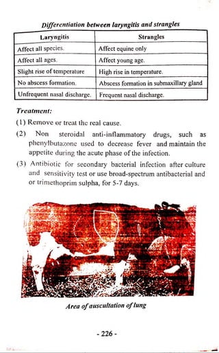 Differentiation between laryngitis and strangles 
Laryngitis Strangles 
Affect all species. Affect equine only 
Affect all ages. Affect young age. 
Slight rise of temperature High rise in temperature. 
No abscess formation. Abscess formation in submaxillary gland 
Unfrequent nasal discharge. Frequent nasal discharge. 
Treatment: 
(1) Remove or treat the real cause. 
(2) Non steroidal anti-inflammatory drugs, such as 
phenylbutazone used to decrease fever and maintain the 
appetite during the acute phase o f the infection. 
(3) Antibiotic for secondary bacterial infection afterculture 
and sensitivity test or use broad-spectrum antibacterial and 
or trimethoprim sulpha, for 5-7 days. 
Area o f auscultation o f lung 
 