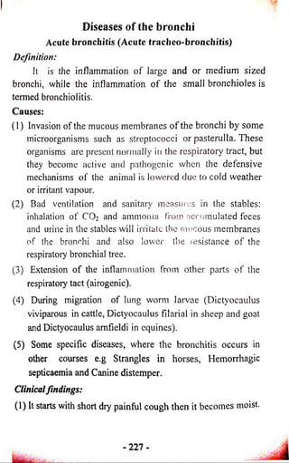 Diseases o f the bronchi 
Acute bronchitis (Acute tracheo-bronchitis) 
Definition: 
It is the inflammation of large and or medium sized 
bronchi, while the inflammation o f the small bronchioles is 
termed bronchiolitis. 
Causes: 
(1) Invasion of the mucous membranes o f the bronchi by some 
microorganisms such as streptococci or pasterulla. These 
organisms are present normally in the respiratory tract, but 
they become active and pathogenic when the defensive 
mechanisms o f the animal is lowered due to cold weather 
or irritant vapour. 
(2) Bad ventilation and sanitary measures in the stables: 
inhalation of CO2 and ammonia from accumulated feces 
and urine in the stables will irritate the mucous membranes 
of the bronchi and also lower the resistance o f the 
respiratory bronchial tree. 
(3) Extension o f the inflammation from other parts of the 
respiratory tact (airogenic). 
(4) During migration of lung worm larvae (Dictyocaulus 
viviparous in cattle, Dictyocaulus filarial in sheep and goat 
and Dictyocaulus amfieldi in equines). 
(5) Some specific diseases, where the bronchitis occurs in 
other courses e.g Strangles in horses, Hemorrhagic 
septicaemia and Canine distemper. 
Clinical findings: 
(1) It starts with short dry painful cough then it be come s moist. 
 