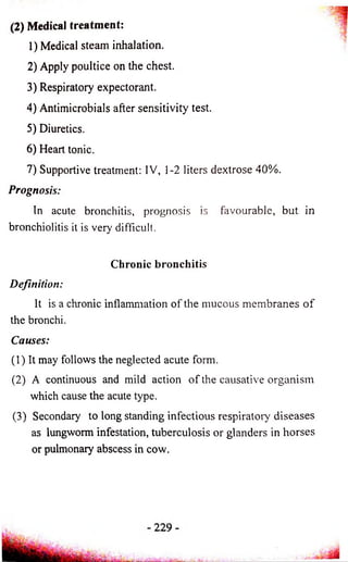 (2) Medical treatment: 
1) Medical steam inhalation. 
2) Apply poultice on the chest. 
3) Respiratory expectorant. 
4) Antimicrobials after sensitivity test. 
5) Diuretics. 
6) Heart tonic. 
7) Supportive treatment: IV, 1-2 liters dextrose 40%. 
Prognosis: 
In acute bronchitis, prognosis is favourable, but in 
bronchiolitis it is very difficult. 
Chronic bronchitis 
Definition: 
It is a chronic inflammation of the mucous membranes o f 
the bronchi. 
Causes: 
(1) It may follows the neglected acute form. 
(2) A continuous and mild action o f the causative organism 
which cause the acute type. 
(3) Secondary to long standing infectious respiratory diseases 
as lungworm infestation, tuberculosis or glanders in horses 
or pulmonary abscess in cow. 
 