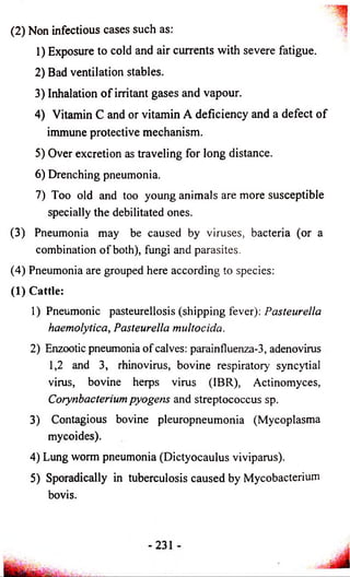(2) Non infectious cases such as: 
1) Exposure to cold and air currents with severe fatigue. 
2) Bad ventilation stables. 
3) Inhalation o f irritant gases and vapour. 
4) Vitamin C and or vitamin A deficiency and a defect of 
immune protective mechanism. 
5) Over excretion as traveling for long distance. 
6) Drenching pneumonia. 
7) Too old and too young animals are more susceptible 
specially the debilitated ones. 
(3) Pneumonia may be caused by viruses, bacteria (or a 
combination of both), fungi and parasites. 
(4) Pneumonia are grouped here according to species: 
(1) Cattle: 
1) Pneumonic pasteurellosis (shipping fever): Pasteurella 
haemolytica, Pasteurella multocida. 
2) Enzootic pneumonia of calves: parainfluenza-3, adenovirus 
1,2 and 3, rhinovirus, bovine respiratory syncytial 
virus, bovine herps virus (IBR), Actinomyces, 
Corynbacterium pyogens and streptococcus sp. 
3) Contagious bovine pleuropneumonia (Mycoplasma 
mycoides). 
4) Lung worm pneumonia (Dictyocaulus viviparus). 
5) Sporadically in tuberculosis caused by Mycobacterium 
bovis. 
 