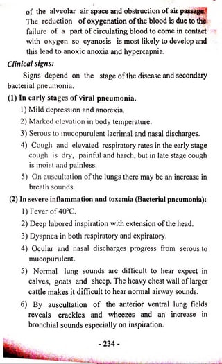 of the alveolar air space and obstruction of air passage. 
The reduction o f oxygenation o f the blood is due to thfe 
failure o f a part o f circulating blood to come in contact 
with oxygen so cyanosis is most likely to develop and 
this lead to anoxic anoxia and hypercapnia. 
Clinical signs: 
Signs depend on the stage o f the disease and secondary 
bacterial pneumonia. 
(1) In early stages of viral pneumonia. 
1) Mild depression and anorexia. 
2) Marked elevation in body temperature. 
3) Serous to mucopurulent lacrimal and nasal discharges. 
4) Cough and elevated respiratory rates in the early stage 
cough is dry, painful and harch, but in late stage cough 
is moist and painless. 
5) On auscultation of the lungs there may be an increase in 
breath sounds. 
(2) In severe inflammation and toxemia (Bacterial pneumonia): 
1) Fever of 40°C. 
2) Deep labored inspiration with extension of the head. 
3) Dyspnea in both respiratory and expiratory. 
4) Ocular and nasal discharges progress from serous to 
mucopurulent. 
5) Normal lung sounds are difficult to hear expect in 
calves, goats and sheep. The heavy chest wall of larger 
cattle makes it difficult to hear normal airway sounds. 
6) By auscultation o f the anterior ventral lung fields 
reveals crackles and wheezes and an increase in 
bronchial sounds especially on inspiration. 
 