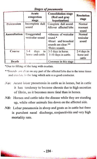 Stages o f pneumonia 
Acute 
congestion 
stage 
Consolidation stage 
(Red and gray 
hepatization) 
Resolution 
stage 
P e r cu ssio n Incomplete dull 
sound 
Complete dull sound. 
Allover affected lobe 
Normal i 
resonant 
sound 
Auscultation Exaggerated 
vesicular sound 
•Abscess of vesicular 
sound.* 
•Heart and bronchial 
sounds are clear.** 
•Rales sounds. 
Normal 
vesicular 
sound 
Course 3-4 days in 
horse and cattle 
3-5 days in horse. 
5-10 days in cattle. 
2-4 days in 
horse and 
cattle 
Death Common in this stage 
*Due to filling o f the lung with exudate. 
**Sounds are clear on any part of the affected lobe due to the tense tissue 
and exudate in the lung which acts as a good conductor. 
NB: Acute iooar pneumonia in cattle as in horses, but in cattle 
it has tendency to become chronic due to high secretion 
o f fib rin , so it becomes more fatal than in horses. 
N B : H o rs e s an d cattle take the disease while they are standing 
up, w h ile other animals lies down on the affected side. 
N B : L o b a r p n eum o n ia in sheep and goats as in cattle but there 
is p u ru le n t nasal discharge, conjunctivitis and very high 
m o rta lity rate. 
 