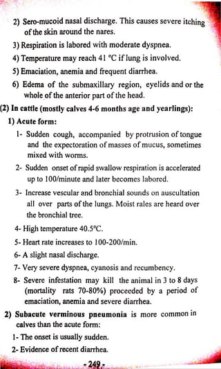 2) Sero-mucoid nasal discharge. This causes severe itching 
o f the skin around the nares. 
3) Respiration is labored with moderate dyspnea. 
4) Temperature may reach 41 °C i f lung is involved. 
5) Emaciation, anemia and frequent diarrhea. 
6) Edema o f the submaxillary region, eyelids and or the 
whole o f the anterior part o f the head. 
(2) In cattle (mostly calves 4-6 months age and yearlings): 
1) Acute form: 
1- Sudden cough, accompanied by protrusion o f tongue 
and the expectoration o f masses o f mucus, sometimes 
mixed with worms. 
2- Sudden onset o f rapid swallow respiration is accelerated 
up to 100/minute and later becomes labored. 
3- Increase vescular and bronchial sounds on auscultation 
all over parts o f the lungs. Moist rales are heard over 
the bronchial tree. 
4- High temperature 40.5°C. 
5- Heart rate increases to 100-200/min. 
6- A slight nasal discharge. 
7- Very severe dyspnea, cyanosis and recumbency. 
8- Severe infestation may kill the animal in 3 to 8 days 
(mortality rats 70-80%) proceeded by a period of 
emaciation, anemia and severe diarrhea. 
2) Subacute verminous pneumonia is more common in 
calves than the acute form: 
1- The onset is usually sudden. 
2- Evidence o f recent diarrhea. 
 