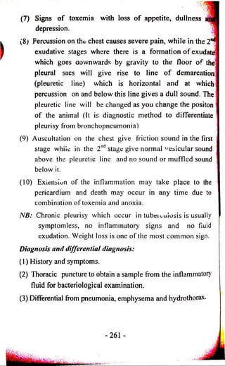 (7) Signs o f toxemia with loss o f appetite, dullness antfi 
depression. 
(8) Percussion on the chest causes severe pain, while in the 2I^ | 
exudative stages where there is a formation o f exudate 
which goes downwards by gravity to the floor o f the 
pleural sacs will give rise to line o f demarcation 
(pleuretic line) which is horizontal and at which! 
percussion on and below this line gives a dull sound. The 
pleuretic line will be changed as you change the positon 
o f the animal (It is diagnostic method to differentiate 
pleurisy from bronchopneumonia) 
(9) Auscultation on the chest give friction sound in the first ] 
stage while in the 2nd stage give normal vesicular sound 
above the pleuretic line and no sound or muffled sound ; 
below it. 
(10) Exiensiun of the inflammation may take place to the 
pericardium and death may occur in any time due to 
combination of toxemia and anoxia. 
NB: Chronic pleurisy which occur in tubeieuiosis is usually 
symptomless, no inflammatory signs and no fluid 
exudation. Weight loss is one o f the most common sign. 
Diagnosis and differential diagnosis: 
(1) History and symptoms. 
(2) Thoracic puncture to obtain a sample from the inflammatory 
fluid for bacteriological examination. 
(3) Differential from pneumonia, emphysema and hydrothorax. 
 