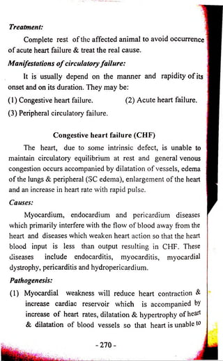 Treatment: 
Complete rest o f the affected animal to avoid occurrence 
o f acute heart failure & treat the real cause. 
Manifestations o f circulatory failure: 
It is usually depend on the manner and rapidity o f its 
onset and on its duration. They may be: 
(1) Congestive heart failure. (2) Acute heart failure. 
(3) Peripheral circulatory failure. 
Congestive heart failure (CHF) 
The heart, due to some intrinsic defect, is unable to 
maintain circulatory equilibrium at rest and general venous 
congestion occurs accompanied by dilatation o f vessels, edema 
o f the lungs & peripheral (SC edema), enlargement o f the heart 
and an increase in heart rate with rapid pulse. 
Causes: 
Myocardium, endocardium and pericardium diseases 
which primarily interfere with the flow o f blood away from the 
heart and diseases which weaken heart action so that the heart 
blood input is less than output resulting in CHF. These 
diseases include endocarditis, myocarditis, myocardial 
dystrophy, pericarditis and hydropericardium. 
Pathogenesis: 
(1) Myocardial weakness will reduce heart contraction & 
increase cardiac reservoir which is accom panied by 
increase o f heart rates, d ilatation & hypertrophy o f heart 
& dilatation o f blood vessels so that heart is unable to 
 