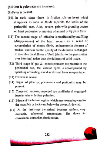 (8) Heart & pulse rates are increased. 
(9) Fever is present. 
(10) In early stage there is friction rub on heart whicl 
disappears as soon as fluids separate the walls o f the 
pericardial sacs. Also, severe pain with grunting occurs 
on heart percussion or moving o f animal or by pain tests. 
(11) The second stage o f effusion is manifested by muffling 
(disappearance) o f the heart sounds as a result o f 
accumulation of excess fibrin, an increase in the area o f 
cardiac dullness but the quality o f the dullness is changed 
to resemble the dullness o f fluid (similar to the percussion 
over intestine) rather than the dullness o f solid tissue. 
(12) Third stage if gas & excess exudates are present in the 
pericardial sac, the cardiac cycle is accompanied by 
splashing or tinkling sound as if come from an open tape. 
(13) Toxemia is severe. 
(14) Signs of pleurisy, pneumonia and peritonitis may be 
present. 
(15) Congested mucosa, engorged eye capillaries & engorged 
jugular vein with clear pulsation. 
(16) Edema of the brisket region which may extend upward to 
the mandible or backward below the thorax & dewlab. 
(17) At the last stage the animal becomes restless, very 
excitable, subnormal temperature, lies down in 
convulsion, coma then death occurs. 
 