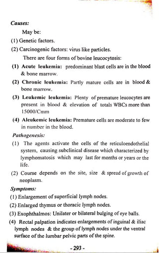 Causes: 
May be: 
(1) Genetic factors. 
(2) Carcinogenic factors: virus like particles. 
There are four forms of bovine leucocytosis: 
(1) Acute leukemia: predominant blast cells are in the blood 
& bone marrow. 
(2) Chronic leukemia: Partly mature cells are in blood & 
bone marrow. 
(3) Leukemic leukemia: Plenty of premature leucocytes are 
present in blood & elevation of totals WBCs more than 
15000/Cmm 
(4) Aleukemic leukemia: Premature cells are moderate to few 
in number in the blood. 
Pathogenesis: 
(1) The agents activate the cells of the reticuloendothelial 
system, causing subclinical disease which characterized by 
lymphomatosis which may last for months or years or the 
life. 
(2) Course depends on the site, size & spread of growth of 
neoplasm. 
Symptoms: 
(1) Enlargement o f superficial lymph nodes. 
(2) Enlarged thymus or thoracic lymph nodes. 
(3) Exophthalmos: Unilater or bilateral bulging of eye balls. 
(4) Rectal palpation indicates enlargements of inguinal & iliac 
lymph nodes & the group o f lymph nodes under the ventral 
surface o f the lumbar pelvic parts of the spine. 
 