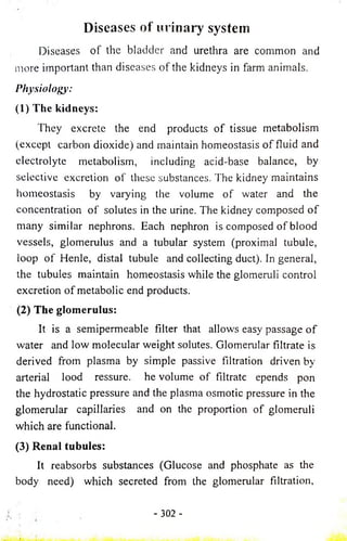 Diseases o f urinary system 
Diseases of the bladder and urethra are common and 
more important than diseases of the kidneys in farm animals. 
Physiology: 
(1) The kidneys: 
They excrete the end products of tissue metabolism 
(except carbon dioxide) and maintain homeostasis o f fluid and 
electrolyte metabolism, including acid-base balance, by 
selective excretion of these substances. The kidney maintains 
homeostasis by varying the volume o f water and the 
concentration o f solutes in the urine. The kidney composed o f 
many similar nephrons. Each nephron is composed o f blood 
vessels, glomerulus and a tubular system (proximal tubule, 
loop of Henle, distal tubule and collecting duct). In general, 
the tubules maintain homeostasis while the glomeruli control 
excretion of metabolic end products. 
(2) The glomerulus: 
It is a semipermeable filter that allows easy passage o f 
water and low molecular weight solutes. Glomerular filtrate is 
derived from plasma by simple passive filtration driven by 
arterial lood ressure. he volume of filtrate epends pon 
the hydrostatic pressure and the plasma osmotic pressure in the 
glomerular capillaries and on the proportion of glomeruli 
which are functional. 
(3) Renal tubules: 
It reabsorbs substances (Glucose and phosphate as the 
body need) which secreted from the glomerular filtration, 
- 302 - -.1 ' 
 