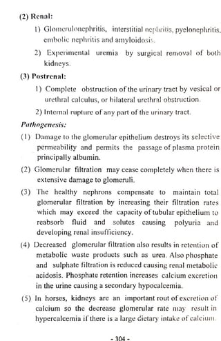 (2) Renal: 
1) Glomerulonephritis, interstitial nephritis, pyelonephritis, 
embolic nephritis and amyloidosis. 
2) Experimental uremia by surgical removal o f both 
kidneys. 
(3) Postrenal: 
1) Complete obstruction o f the urinary tract by vesical or 
urethral calculus, or bilateral urethral obstruction. 
2) Internal rupture o f any part o f the urinary tract. 
Pathogenesis: 
(1) Damage to the glomerular epithelium destroys its selective 
permeability and permits the passage o f plasma protein 
principally albumin. 
(2) Glomerular filtration may cease completely when there is 
extensive damage to glomeruli. 
(3) The healthy nephrons compensate to maintain total 
glomerular filtration by increasing their filtration rates 
which may exceed the capacity o f tubular epithelium to 
reabsorb fluid and solutes causing polyuria and 
developing renal insufficiency. 
(4) Decreased glomerular filtration also results in retention o f 
metabolic waste products such as urea. Also phosphate 
and sulphate filtration is reduced causing renal metabolic 
acidosis. Phosphate retention increases calcium excretion 
in the urine causing a secondary hypocalcemia. 
(5) In horses, kidneys are an important rout o f excretion o f 
calcium so the decrease glomerular rate may result in 
hypercalcemia if there is a large dietary intake o f calcium. 
 