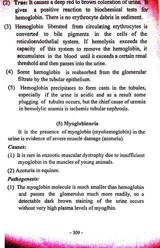 (2) Trite: It causes a deep red to brown coloration 01 unne. I t 
gives a positive reaction to biochemical tests for 
hemoglobin. There is no erythrocyte debris in sediment. 
(3) Hemoglobin liberated from circulating erythrocytes is 
converted to bile pigments in the cells o f the 
reticuloendothelial system. If hemolysis exceeds the 
capacity o f this system to remove the hemoglobin, it 
accumulates in the blood until it exceeds a certain renal 
threshold and then passes into the urine. 
(4) Some hemoglobin is reabsorbed from the glomerular 
filtrate by the tubular epithelium. 
(5) Hemoglobin precipitates to form casts in the tubules, 
especially if the urine is acidic and as a result some 
plugging of tubules occurs, but the chief cause of uremia 
in hemolylic anemia is ischemic tubular nephrosis. 
(5) Myoglobinuria 
It is the presence of myoglobin (myohemoglobin) in the 
urine is evidence of severe muscle damage (azoturia). 
Causes: 
(1) It is rare in enzootic muscular dystrophy due to insufficient 
myoglobin in the muscles of young animals. 
(2) Azoturia in equines. 
Pathogenesis: 
(1) The myoglobin molecule is much smaller than hemoglobin 
and passes the glomerulus much more readily, so a 
detectable dark brown staining of the urine occurs 
without very high plasma levels of myoglbin. 
 