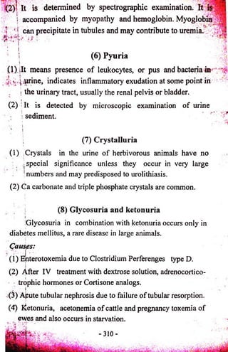 It is determined by spectrographic examination. It 
s accompanied by myopathy and hemoglobin. Myoglobin 
! can precipitate in tubules and may contribute to uremia. 
(6) Pyuria 
(1). .It means presence o f leukocytes, or pus and bacteria in 
| .wrine, indicates inflammatory exudation at some point in 
i the urinary tract, usually the renal pelvis or bladder. 
I 
(2) It is detected by microscopic examination o f urine 
S sediment. 
(7) Crystalluria 
(1) (Crystals in the i urine of herbivorous animals have no 
• special significance unless they occur in very large 
! numbers and may predisposed to urolithiasis. 
(2) Ca carbonate and triple phosphate crystals are common. 
(8) Glycosuria and ketonuria 
I 
Glycosuria in combination with ketonuria occurs only in 
diabetes mellitus, a rare disease in large animals. 
Causes: 
(1) Enterotoxemia due to Clostridium Perferenges type D. 
i 
(2) After IV treatment with dextrose solution, adrenocortico-trophic 
hormones or Cortisone analogs. 
(3) Apute tubular nephrosis due to failure o f tubular resorption. 
(4) Ketonuria, acetonemia of cattle and pregnancy toxemia of 
ewes and also occurs in starvation. 
 