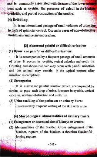 and: is commonly associated with disease o f the lower uritjip 
Tract such as cystitis, the presence o f calculi in the bladder 
'frri4tritis, and partial obstruction o f the urethra. 
(4) Dribbling: 
i : ' | 7 , i It is an intermittent passage o f small volumes o f urine du^. 
", to lack o f sphincter control. Occurs in cases o f non-obstrucfr^l 
urolithiasis and persistent urachus. 
[3] Abnormal painful or difficult urination 
(1) Jysuria or painful or difficult urination: 
; It is accompanied by a frequent passage of small amounts 
of urine. It occurs in cystitis, vesical calculus and urethritis. 
Grunting and abdominal pain may occur with painful urination 
and: the animal may remain in the typical posture after 
urination is completed. 
(2) Stranguria: 
It is a slow and painful urination which accompanied by 
strains to pass each drop of urine. It occurs in cystitis, vesical 
calculus, urethral obstruction and urethritis. 
(3) Urine scalding of the perineum or urinary burn: 
lit is caused by frequent wetting of the skin with urine. 
[4] Morphological abnormalities of urinary tracts 
(1) Enlargement or decreased size of kidneys or ureters. 
(2) Abnormalities of the bladder: Gross enlargement of the 
bladder, rupture of the bladder, a shrunken bladder fol- 
 |lowing rupture. 
 
