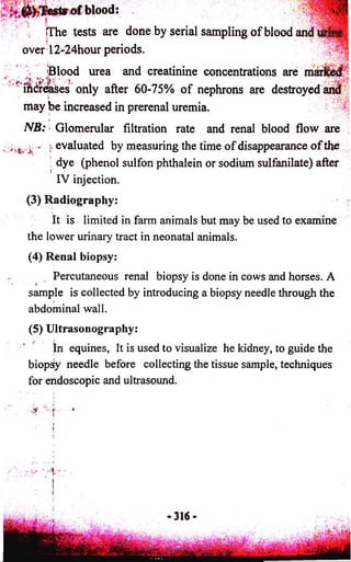 blood: 
!The tests are done by serial sampling o f blood and t # ||l 
over 12-24hour periods. 
iBlood urea and creatinine concentrations are marked 
increases only after 60-75% o f nephrons are destroyed and 
may be increased in prerenal uremia. 
 , 
NB: Glomerular filtration rate and renal blood flow are 
iV: .£ < j, evaluated by measuring the time o f disappearance o f the 
dye (phenol sulfon phthalein or sodium sulfanilate) after 
IV injection. 
(3) Radiography: 
It is limited in farm animals but may be used to examine 
the lower urinary tract in neonatal animals. 
(4) Renal biopsy: 
Percutaneous renal biopsy is done in cows and horses. A 
v 
sample is collected by introducing a biopsy needle through the 
abdominal wall. 
(5) Ultrasonography: 
In equines, It is used to visualize he kidney, to guide the 
biopsy needle before collecting the tissue sample, techniques 
for endoscopic and ultrasound. 
 