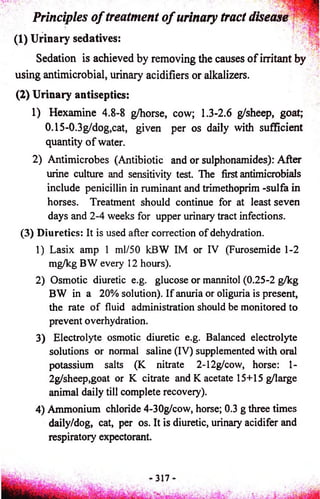 Principles o f treatment o f urinary tract disease 
(1) Urinary sedatives: 
Sedation is achieved by removing the causes o f irritant by 
using antimicrobial, urinary acidifiers or alkalizers. 
(2) Urinary antiseptics: 
1) Hexamine 4.8-8 g/horse, cow; 1.3-2.6 g/sheep, goat; 
0.15-0.3g/dog,cat, given per os daily with sufficient 
quantity o f water. 
2) Antimicrobes (Antibiotic and or sulphonamides): After 
urine culture and sensitivity test. The first antimicrobials 
include penicillin in ruminant and trimethoprim -sulfa in 
horses. Treatment should continue for at least seven 
days and 2-4 weeks for upper urinary tract infections. 
(3) Diuretics: It is used after correction of dehydration. 
1) Lasix amp 1 ml/50 kBW IM or IV (Furosemide 1-2 
mg/kg BW every 12 hours). 
2) Osmotic diuretic e.g. glucose or mannitol (0.25-2 g/kg 
BW in a 20% solution). If anuria or oliguria is present, 
the rate of fluid administration should be monitored to 
prevent overhydration. 
3) Electrolyte osmotic diuretic e.g. Balanced electrolyte 
solutions or normal saline (IV) supplemented with oral 
potassium salts (K nitrate 2-12g/cow, horse: 1- 
2g/sheep,goat or K citrate and K acetate 15+15 g/large 
animal daily till complete recovery). 
4) Ammonium chloride 4-30g/cow, horse; 0.3 g three times 
daily/dog, cat, per os. It is diuretic, urinary acidifer and 
respiratory expectorant. 
 