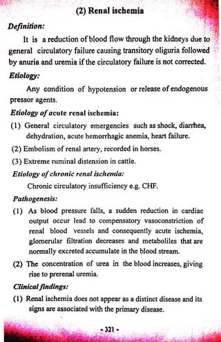 Definition: 
(2) Renal ischemia 
It is a reduction o f blood flow through the kidneys aue 10 
general circulatory failure causing transitory oliguria followed 
by anuria and uremia if the circulatory failure is not corrected. 
Etiology: 
Any condition of hypotension or release o f endogenous 
pressor agents. 
Etiology o f acute renal ischemia: 
(1) General circulatory emergencies such as shock, diarrhea, 
dehydration, acute hemorrhagic anemia, heart failure. 
(2) Embolism of renal artery, recorded in horses. 
(3) Extreme ruminal distension in cattle. 
Etiology o f chronic renal ischemia: 
Chronic circulatory insufficiency e.g. CHF. 
Pathogenesis: 
(1) As blood pressure falls, a sudden reduction in cardiac 
output occur lead to compensatory vasoconstriction of 
renal blood vessels and consequently acute ischemia, 
glomerular filtration decreases and metaboliles that are 
normally excreted accumulate in the blood stream. 
(2) The concentration of urea in the blood increases, giving 
rise to prerenal uremia. 
Clinicalfindings: 
(1) Renal ischemia does not appear as a distinct disease and its 
signs are associated with the primary disease. 
 