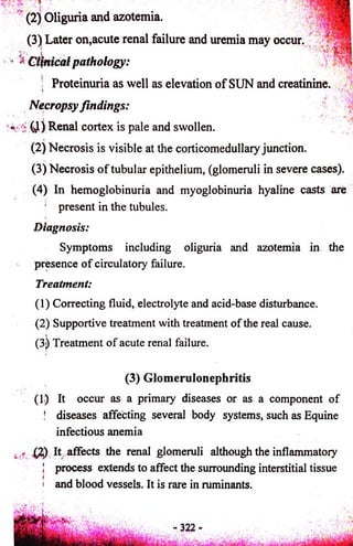 (2) Oliguria and azotemia. 
(3) Later on,acute renal failure and uremia may occur. 
'* Clnical pathology: 
; Proteinuria as well as elevation o f SUN and creatinine. 
Necropsy findings: 
* 0 ) Renal cortex is pale and swollen. 
(2) Necrosis is visible at the corticomedullary junction. 
(3) Necrosis o f tubular epithelium, (glomeruli in severe cases). 
(4) In hemoglobinuria and myoglobinuria hyaline casts are 
! present in the tubules. 
Diagnosis: 
Symptoms including oliguria and azotemia in the 
presence of circulatory failure. 
Treatment: 
(1) Correcting fluid, electrolyte and acid-base disturbance. 
(2) Supportive treatment with treatment of the real cause. 
(3) Treatment of acute renal failure. 
(3) Glomerulonephritis 
(1) It occur as a primary diseases or as a component of 
j diseases affecting several body systems, such as Equine 
infectious anemia 
(2) It affects the renal glomeruli although the inflammatory 
! process extends to affect the surrounding interstitial tissue 
i and blood vessels. It is rare in ruminants. 
 