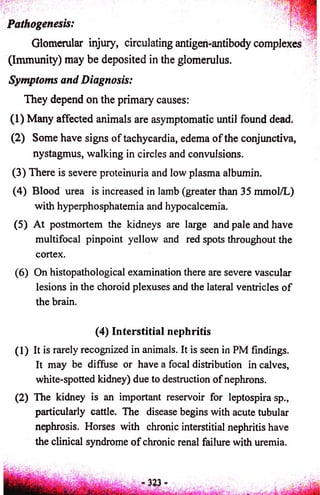 Pathogenesis: 
Glomerular injury, circulating antigen-antibody complexes | f 
(Immunity) may be deposited in the glomerulus. 
Symptoms and Diagnosis: 
They depend on the primary causes: 
(1) Many affected animals are asymptomatic until found dead. 
(2) Some have signs of tachycardia, edema o f the conjunctiva, 
nystagmus, walking in circles and convulsions. 
(3) There is severe proteinuria and low plasma albumin. 
(4) Blood urea is increased in lamb (greater than 35 mmol/L) 
with hyperphosphatemia and hypocalcemia. 
(5) At postmortem the kidneys are large and pale and have 
multifocal pinpoint yellow and red spots throughout the 
cortex. 
(6) On histopathological examination there are severe vascular 
lesions in the choroid plexuses and the lateral ventricles o f 
the brain. 
(4) Interstitial nephritis 
(1) It is rarely recognized in animals. It is seen in PM findings. 
It may be diffuse or have a focal distribution in calves, 
white-spotted kidney) due to destruction of nephrons. 
(2) The kidney is an important reservoir for leptospira sp., 
particularly cattle. The disease begins with acute tubular 
nephrosis. Horses with chronic interstitial nephritis have 
the clinical syndrome of chronic renal failure with uremia. 
 