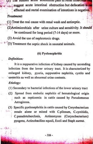 s u u u c ii a u u u m m m p om jlu ic iie u m ia r c u u n ' ^ .j suggest acute intestinal obstruction but d e fe ca tioh i^ S 
F'' ■ ' '; nwHiWl 
’ affected and rectal examination o f intestines is n eg a ti^ p | 
Treatment: 
(1) Treat the real cause with renal wash and antiseptic. 
(2)Antimicrobials after urine culture and sensitivity. It should 
. » » 
be continued for long period (7-14 days) or more. 
(3) Avoid the use o f nephrotoxic drugs. 
(3) Treatment the septic shock in neonatal animals. 
(6) Pyelonephritis 
Definition: 
It is a suppurative infection o f kidney caused by ascending 
infection from the lower urinary tract. It is characterized by 
enlarged kidney, pyuria, suppurative nephritis, cystits and 
ureteritis aa well as abnormal urine contents. 
Etiology: 
(1) Secondary to bacterial infections of the lower urinaiy tract 
(2) Spread from embolic nephritis of hematological origin 
such as septicemia in cattle caused by Pseudomonas 
Aeruginosa. 
(3) Specific pyelonephritis in cattle caused by Corynbacterium 
renale alone or mixed with C.pilosum, C.cystitidis, 
C.pseudotuberclosis, Actinomyces (Coiyncbacterium) 
pyogens, Actinobacilins equuli, Ecoli and Staph aureus. 
r: 
 