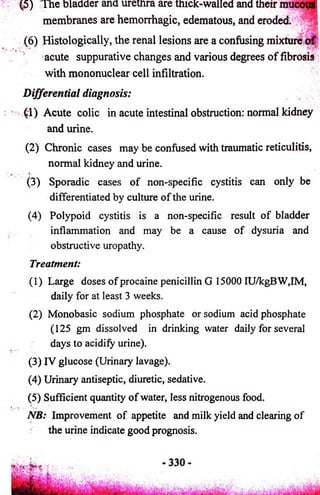 5 ) The bladder and uretnra are thick-walled and their 
membranes are hemorrhagic, edematous, and eroded. 
(6) Histologically, the renal lesions are a confusing mixture o f 
acute suppurative changes and various degrees o f fibrosis 
with mononuclear cell infiltration. 
Differential diagnosis: 
(1) Acute colic in acute intestinal obstruction: normal kidney 
and urine. 
(2) Chronic cases may be confused with traumatic reticulitis, 
normal kidney and urine. 
■ »- 
(3) Sporadic cases o f non-specific cystitis can only be 
differentiated by culture o f the urine. 
(4) Polypoid cystitis is a non-specific result o f bladder 
inflammation and may be a cause of dysuria and 
obstructive uropathy. 
Treatment: 
(1) Large doses of procaine penicillin G 15000 IU/kgBW,IM, 
daily for at least 3 weeks. 
(2) Monobasic sodium phosphate or sodium acid phosphate 
(125 gm dissolved in drinking water daily for several 
days to acidify urine). 
(3) IV glucose (Urinary lavage). 
(4) Urinary antiseptic, diuretic, sedative. 
(5) Sufficient quantity o f water, less nitrogenous food. 
NB: Improvement o f appetite and milk yield and clearing of 
the urine indicate good prognosis. 
 