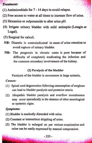 treatment: 
(1) Antimicrobials for 7 -1 4 days to avoid relapse. 
(2) Free access to water at all times to increase flow o f urine. 
(3) Hexamine or sulponamide to alter urine pH. 
(4) Irrigate urinary bladder with mild antiseptic (Lotagin or 
Lugal). 
(5) Surgical for calculi. 
NB: Diuretic is contraindicated in cases o f urine retention to 
avoid rupture of urinary bladder. 
NB: The prognosis in chronic cases is poor because o f 
difficulty o f completely eradicating the infection and 
the common secondary involvement o f the kidney. 
(2) Paralysis of the bladder 
Paralysis of the bladder is uncommon in large animals, 
Causes: 
(1) Spinal cord degeneration following consumption of sorghum 
can lead to bladder paralysis and posterior ataxia. 
(2) Idiopathic bladder paralysis and overflow incontinence 
may occur sporadically in the absence of other neurological 
or systemic signs. 
Symptoms: 
(1) Bladder is markedly distended with urine. 
(2) Constant or intermittent drippling o f urine. 
(3) The bladder is enlarged on per rectum examination and 
urine can be easily expressed by manual compression. 
 