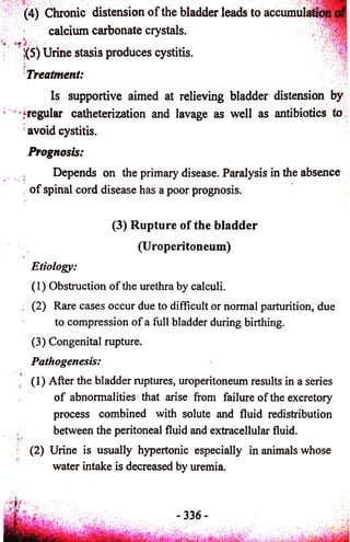 (4) Chronic distension o f the bladder leads to a c cum u la tl^ ji 
calcium carbonate crystals. , 
1(5) Urine stasis produces cystitis. 
} , ■ ' ' f . Treatment: 
Is supportive aimed at relieving bladder distension by 
" ‘regular catheterization and lavage as well as antibiotics to 
avoid cystitis. 
Prognosis: 
Depends on the primary disease. Paralysis in the absence 
o f spinal cord disease has a poor prognosis. 
(3) Rupture o f the bladder 
(U roperitoneum) 
Etiology: 
(1) Obstruction of the urethra by calculi. 
(2) Rare cases occur due to difficult or normal parturition, due 
to compression of a full bladder during birthing. 
(3) Congenital rupture. 
Pathogenesis: 
(1) After the bladder ruptures, uroperitoneum results in a series 
o f abnormalities that arise from failure of the excretory 
process combined with solute and fluid redistribution 
between the peritoneal fluid and extracellular fluid. 
j- (2) Urine is usually hypertonic especially in animals whose 
water intake is decreased by uremia. 
 