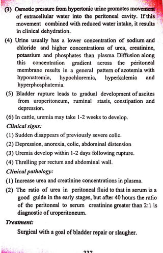 (3) Osmotic pressure from hypertonic urine promotes movem 
o f extracellular water into the peritoneal cavity. I f this 
• • movement combined with reduced water intake, it results 
in clinical dehydration. 
(4) Urine usually has a lower concentration o f sodium and 
chloride and higher concentrations o f urea, creatinine, 
potassium and phosphates than plasma. Diffusion along 
this concentration gradient across the peritoneal 
membrane results in a general pattern o f azotemia with 
hyponatremia, hypochloremia, hyperkalemia and 
hyperphosphatemia. 
(5) Bladder rupture leads to gradual development o f ascites 
from uroperitoneum, ruminal stasis, constipation and 
depression. 
(6) In cattle, uremia may take 1-2 weeks to develop. 
Clinical signs: 
(1) Sudden disappears of previously severe colic. 
(2) Depression, anorexia, colic, abdominal distension 
(3) Uremia develop within 1-2 days following rupture. 
(4) Threlling per rectum and abdominal wall. 
Clinical pathology: 
(1) Increase urea and creatinine concentrations in plasma. 
(2) The ratio o f urea in peritoneal fluid to that in serum is a 
good guide in the early stages, but after 40 hours the ratio 
o f the peritoneal to serum creatinine greater than 2:1 is 
diagnostic o f uroperitoneum. 
Treatment: 
Surgical with a goal of bladder repair or slaugher. 
 
