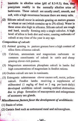 insoluble in alkaline urine (pH o f 8.5-9.5); thus, 1 
precipitate readily in the normally alkaline urine o f 
herbivores. These calculi are usually small, smooth, and 
soft, with a high recurrence because there are many salts. 
r, 
v(2) Silicate calculi occur in animals grazing on mature grasses 
or wheat or oat (which contains up to 2% silica). Water in 
these areas also high in silicates. Silicate calculi are rough 
and hard, usually forming only a single calculus. A high 
level o f silica in both diet and water, causing outbreaks o f 
calculi at any time o f the year in any age. 
Composition o f calculi: 
(1) Animal grazing in pasture grasses have a high content o f 
silica form siliceous calculi. 
(2) Calcium, ammonium and magnesium carbonate re 
common constituents o f calculi in cattle and sheep 
grazing clover-rich pasture. 
(3) Magnesium ammonium phosphate calculi in lambs fed 
high concentrations o f magnesium in feedlot rations. 
(4) Oxalate calculi are rare in ruminants. 
(5) Estrogenic subterranean clover causes soft, moist, yellow 
calculi. Feedlot lambs receiving a supplement of 
stilboestrol (1 mg/kg o f feed or 2 mg per lamb daily) 
developed urolithins calculi causing urethral obstruction 
due to plugs formation o f mucoprotein and enlargement 
o f accessory sex glands. 
Miscellaneous fa c to rs fa v o r the development o f urolithiasis: 
(1) Stasis o f urine. 
(2) Certain feed such as cottonseed meal and milosorghum. 
 