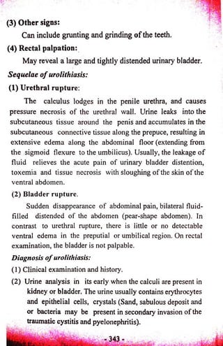 (3) Other signs: 
Can include grunting and grinding o f the teeth. 
(4) Rectal palpation: 
May reveal a large and tightly distended urinary bladder. 
Sequelae o f urolithiasis: 
(1) Urethral rupture: 
The calculus lodges in the penile urethra, and causes 
pressure necrosis of the urethral wall. Urine leaks into the 
subcutaneous tissue around the penis and accumulates in the 
subcutaneous connective tissue along the prepuce, resulting in 
extensive edema along the abdominal floor (extending from 
the sigmoid flexure to the umbilicus). Usually, the leakage o f 
fluid relieves the acute pain of urinary bladder distention, 
toxemia and tissue necrosis with sloughing of the skin of the 
ventral abdomen. 
(2) Bladder rupture. 
Sudden disappearance of abdominal pain, bilateral fluid-filled 
distended of the abdomen (pear-shape abdomen). In 
contrast to urethral rupture, there is little or no detectable 
ventral edema in the preputial or umbilical region. On rectal 
examination, the bladder is not palpable. 
Diagnosis o f urolithiasis: 
(1) Clinical examination and history. 
(2) Urine analysis in its early when the calculi are present in 
kidney or bladder. The urine usually contains erythrocytes 
and epithelial cells, crystals (Sand, sabulous deposit and 
or bacteria may be present in secondary invasion of the 
traumatic cystitis and pyelonephritis). 
 