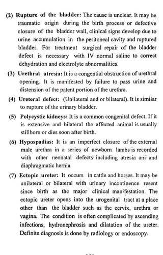 (2) Rupture o f the b la d d e r: The cause is unclear. It may be 
traumatic origin during the birth process or defective 
closure o f the bladder wall, clinical signs develop due to 
urine accumulation in the peritoneal cavity and ruptured 
bladder. For treatment surgical repair o f the bladder 
defect is necessary with IV normal saline to correct 
dehydration and electrolyte abnormalities. 
(3) U re th ra l a tre sia : It is a congential obstruction o f urethral 
opening. It is manifested by failure to pass urine and 
distension o f the patent portion o f the urethra. 
(4) U re te ra l defect: (Unilateral and or bilateral). It is similar 
to rupture o f the urinary bladder. 
(5) Polycystic kidneys: It is a common congenital defect. If it 
is extensive and bilateral the affected animal is usually 
stillborn or dies soon after birth. 
(6) Hypospadias: It is an imperfect closure o f the external 
male urethra in a series o f newborn lambs is recorded 
with other neonatal defects including atresia ani and 
diaphragmatic hernia 
(7) Ectopic ureter: It occurs in cattle and horses. It may be 
unilateral or bilateral with urinary incontinence resent 
since birth as the major clinical manifestation. The 
ectopic ureter opens into the urogenital tract at a place 
other than the bladder such as the cervix, urethra or 
vagina. The condition is often complicated by ascending 
infections, hydronephrosis and dilatation o f the ureter. 
Definite diagnosis is done by radiology or endoscopy. 
 