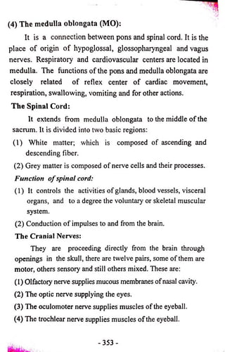 (4) The medulla oblongata (MO): 
It is a connection between pons and spinal cord. It is the 
place o f origin o f hypoglossal, glossopharyngeal and vagus 
nerves. Respiratory and cardiovascular centers are located in 
medulla. The functions of the pons and medulla oblongata are 
closely related of reflex center o f cardiac movement, 
respiration, swallowing, vomiting and for other actions. 
T h e Spinal Cord: 
It extends from medulla oblongata to the middle o f the 
sacrum. It is divided into two basic regions: 
(1) White matter; which is composed of ascending and 
descending fiber. 
(2) Grey matter is composed of nerve cells and their processes. 
Function o f spinal cord; 
(1) It controls the activities of glands, blood vessels, visceral 
organs, and to a degree the voluntary or skeletal muscular 
system. 
(2) Conduction of impulses to and from the brain. 
The Cranial Nerves: 
They are proceeding directly from the brain through 
openings in the skull, there are twelve pairs, some of them are 
motor, others sensory and still others mixed. These are: 
(1) Olfactory nerve supplies mucous membranes of nasal cavity. 
(2) The optic nerve supplying the eyes. 
(3) The oculomoter nerve supplies muscles of the eyeball. 
(4) The trochlear nerve supplies muscles of the eyeball. 
-353 - 
 