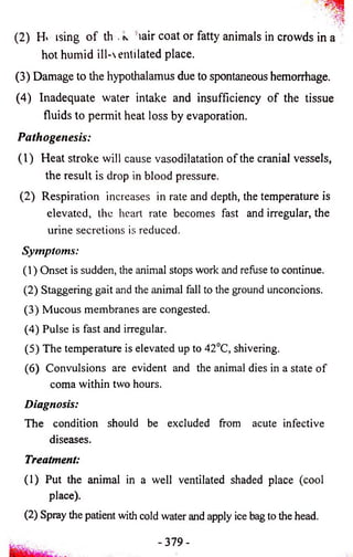 (2) H» ising o f th . n lair coat or fatty animals in crowds in a 
hot humid ill-entilated place. 
(3) Damage to the hypothalamus due to spontaneous hemorrhage. 
(4) Inadequate water intake and insufficiency o f the tissue 
fluids to permit heat loss by evaporation. 
Pathogenesis: 
(1) Heat stroke will cause vasodilatation of the cranial vessels, 
the result is drop in blood pressure. 
(2) Respiration increases in rate and depth, the temperature is 
elevated, the heart rate becomes fast and irregular, the 
urine secretions is reduced. 
Symptoms: 
(1) Onset is sudden, the animal stops work and refuse to continue. 
(2) Staggering gait and the animal fall to the ground unconcions. 
(3) Mucous membranes are congested. 
(4) Pulse is fast and irregular. 
(5) The temperature is elevated up to 42°C, shivering. 
(6) Convulsions are evident and the animal dies in a state of 
coma within two hours. 
Diagnosis: 
The condition should be excluded from acute infective 
diseases. 
Treatment: 
(1) Put the animal in a well ventilated shaded place (cool 
place). 
(2) Spray the patient with cold water and apply ice bag to the head. 
-379- 
 