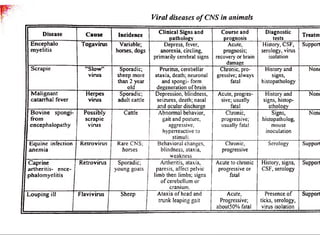 Viral diseases o f CNS in animals 
Disease Cause Incidence C lin ic a l Signs and 
pathology 
Course and 
prognosis 
Diagnostic 
tests Treatm 
E n c e p h a lo 
m y e litis 
T o g a v iru s Variable; 
horses, dogs 
Dep re ss, fever, 
a n o rex ia , circling, 
p rim a rily cerebral signs 
Acute, 
prognosis; 
recovery or brain 
damage 
History, CSF, 
serology, vims 
isolation 
Support 
S c r a p i e ’’Slow” 
v iru s 
S p o rad ic ; 
s h e e p more 
than 2 y e ar 
old 
Pruritus, c ereb e lla r 
atax ia , death; neuronal 
an d spongi- form 
deg en e ra tio n o f brain 
Chronic, pro­gressive; 
always 
fatal 
History and 
signs, 
histopathology 
Norn 
M a lig n a n t 
c a ta r rh a l fev e r 
H e rp e s 
v iru s 
S p o rad ic ; 
a d u lt c attle 
D ep re ssio n , blindness, 
se izu re s, d e ath; nasal 
an d o c u la r discharge 
Acute, progres­sive; 
usually 
fatal 
History and 
signs, h isto p ­athology 
Non< 
B o v in e sp o n g i-f 
rom 
e n c e p h a lo p a th y 
P o s s ib ly 
s c ra p ie 
v iru s 
C attle A b n o rm a l behavior, 
g a it and posture, 
aggressive, 
h y p e rre a ctiv e to 
stimuli. 
Chronic, 
progressive; 
usually fatal 
Signs, 
histopatholog, 
mouse 
inoculation 
Non* 
E q u in e in fection 
a n em ia 
R e tro v iru s Rare CN S; 
ho rse s 
Beh av io ral changes, 
blindne ss, ataxia, 
weakness 
Chronic, 
progressive 
Serology Support 
C a p rin e 
a r th e ritis - e n c e ­p 
h a lom y e litis 
R e tro v iru s S p o rad ic ; 
y o u n g g o a ts 
Arth e ritis, ataxia, 
p a re sis , affe c t pelvic 
lim b then limbs; signs 
o f c ereb e llum or 
cranium. 
Acute to chronic 
progressive or 
fatal 
History, signs, 
CSF, serology 
Support 
L o u p in g ill F la v iv iru s S h e e p A ta x ia o f head and 
tru n k le aping gait 
Acute, 
Progressive; 
ab o u t5 0% fatal 
Presen ce o f 
ticks, serology, 
virus isolation 
Support 
 
