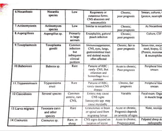 I 6 .N o c a rd io sis Nocardia 
species 
Low R espiratory or 
c u tan eo u s forms; 
CN S abscesses and 
osteomyelitis 
Chronic; 
p oor prognosis 
Smears, cultures, 
(protein, neutroph 
I 7 .A c tin om y co s is Ac tinomyces 
spe cies 
Low Sim ilar to nocardiosis Chronic; 
poor prognosis 
As Nocardiosi 
1 8 .A sp e rg illo s is A sp e rg illu s sp. P rim a rily 
in la rg e 
a n im a ls 
Encephalitis, guttural 
pouch infection 
Chronic; 
poor prognosis 
Culture, CSF 
1 9 .T o x o p la sm o sis T oxopla sma 
gondii 
C om m o n 
in fe c tio n 
b u t 
in fre q u e n t 
c lin ic a l 
p ro b lem 
Immunosuppression; 
CNS, eyes, lungs, 
g a strointe stina l tract 
and skeletal muscle 
often affected 
Chronic; fair to 
poor prognosis 
Serum titer, oocys 
stool, biopsy, C 
(Protein, mononu 
& neutrophiles 
I 10.B a b e sio s is B a b e s ia sp. R are Parasite o f RBC ; 
ra re ly CNS, But 
infarction and 
h emorrhage moie 
common 
Acute to chronic; 
Poor prognosis 
Peripheral bloc 
smears 
| 1 1 .T ry p a n o sm ia s is T ry p a n o s om a 
c ru z i 
R are P arasite o f RBC; 
rarely causes CNS 
disease 
C hronic, fair 
prognosis 
Peripheral bloc 
smears 
I 1 2 .C o c c id io s is S e v e r a l s p e c ie s C om m o n 
e n te ric , ra re 
C N S . 
E nteric may cause 
CN S signs 
S a rco cy stis spp. may 
c au se myopathy 
V ariable Fecal exam. O rg a 
in muscle biop 
f 13.L a rv a m ig ra n s T o x o c a r a c a n is 
a n d o th e r 
s p e c ie s 
R a re G ra n u lom a s in brain 
o r sp in al cord from 
m ig ra tin g larvae 
Acute or chronic; 
Prognosis d epends 
on severity o f signs 
None, necrops 
I 1 4 .C o e n u r s is j C o e n u r u s sp . R a r e ; in 
s h e e p 
C N S sig n s d ep en d on 
lo c a tio n o f lesion 
Acute to chronic; 
P ro g n o sis poor 
Palpated sheep sk 
radiographs 
 