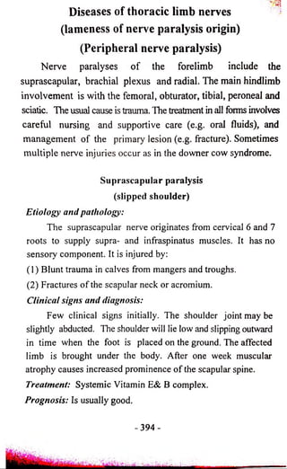 m 
Diseases of thoracic limb nerves 
(lameness of nerve paralysis origin) 
(Peripheral nerve paralysis) 
Nerve paralyses o f the forelimb include the 
suprascapular, brachial plexus and radial. The main hindlimb 
involvement is with the femoral, obturator, tibial, peroneal and 
sciatic. The usual cause is trauma. The treatment in all forms involves 
careful nursing and supportive care (e.g. oral fluids), and 
management of the primary lesion (e.g. fracture). Sometimes 
multiple nerve injuries occur as in the downer cow syndrome. 
Suprascapular paralysis 
(slipped shoulder) 
Etiology and pathology: 
The suprascapular nerve originates from cervical 6 and 7 
roots to supply supra- and infraspinatus muscles. It has no 
sensory component. It is injured by: 
(1) Blunt trauma in calves from mangers and troughs. 
(2) Fractures of the scapular neck or acromium. 
Clinical signs and diagnosis: 
Few clinical signs initially. The shoulder joint may be 
slightly abducted. The shoulder will lie low and slipping outward 
in time when the foot is placed on the ground. The affected 
limb is brought under the body. After one week muscular 
atrophy causes increased prominence of the scapular spine. 
Treatment: Systemic Vitamin E& B complex. 
Prognosis: Is usually good. 
-3 9 4 - 
 
