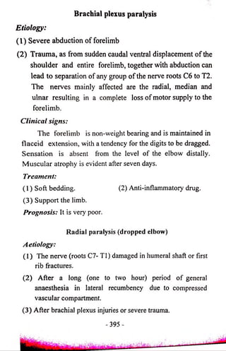Brachial plexus paralysis 
Etiology: 
(1) Severe abduction of forelimb 
(2) Trauma, as from sudden caudal ventral displacement of the 
shoulder and entire forelimb, together with abduction can 
lead to separation of any group of the nerve roots C6 to T2. 
The nerves mainly affected are the radial, median and 
ulnar resulting in a complete loss of motor supply to the 
forelimb. 
Clinical signs: 
The forelimb is non-weight bearing and is maintained in 
flaccid extension, with a tendency for the digits to be dragged. 
Sensation is absent from the level of the elbow distally. 
Muscular atrophy is evident after seven days. 
Treament: 
(1) Soft bedding. (2) Anti-inflammatory drug. 
(3) Support the limb. 
Prognosis: It is very poor. 
Radial paralysis (dropped elbow) 
Aetiology: 
(1) The nerve (roots Cl- Tl) damaged in humeral shaft or first 
rib fractures. 
(2) After a long (one to two hour) period of general 
anaesthesia in lateral recumbency due to compressed 
vascular compartment. 
(3) After brachial plexus injuries or severe trauma. 
- 395 - 
 