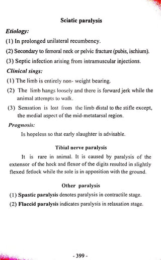 Sciatic paralysis 
Etiology: 
(1) In prolonged unilateral recumbency. 
(2) Secondary to femoral neck or pelvic fracture (pubis, ischium). 
(3) Septic infection arising from intramuscular injections. 
Clinical sings: 
(1) The limb is entirely non- weight bearing. 
(2) The limb hangs loosely and there is forward jerk while the 
animal attempts to walk. 
(3) Sensation is lost from the limb distal to the stifle except, 
the medial aspect of the mid-metatarsal region. 
Prognosis: 
Is hopeless so that early slaughter is advisable. 
Tibial nerve paralysis 
It is rare in animal. It is caused by paralysis of the 
extensor of the hock and flexor of the digits resulted in slightly 
flexed fetlock while the sole is in apposition with the ground. 
Other paralysis 
(1) Spastic paralysis denotes paralysis in contractile stage. 
(2) Flaccid paralysis indicates paralysis in relaxation stage. 
 