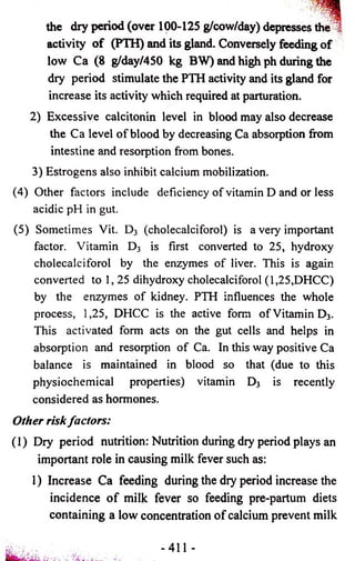 the dry period (over 100-125 g/cow/day) depresses the 
activity of (PTH) and its gland. Conversely feeding of 
low Ca (8 g/day/450 kg BW) and high ph during the 
dry period stimulate the PTH activity and its gland for 
increase its activity which required at parturation. 
2) Excessive calcitonin level in blood may also decrease 
the Ca level of blood by decreasing Ca absorption from 
intestine and resorption from bones. 
3) Estrogens also inhibit calcium mobilization. 
(4) Other factors include deficiency of vitamin D and or less 
acidic pH in gut. 
(5) Sometimes Vit. D3 (cholecalciforol) is a very important 
factor. Vitamin D3 is first converted to 25, hydroxy 
cholecalciforol by the enzymes of liver. This is again 
converted to 1, 25 dihydroxy cholecalciforol (1,25,DHCC) 
by the enzymes of kidney. PTH influences the whole 
process, 1,25, DHCC is the active form of Vitamin D3. 
This activated form acts on the gut cells and helps in 
absorption and resorption of Ca. In this way positive Ca 
balance is maintained in blood so that (due to this 
physiochemical properties) vitamin D3 is recently 
considered as hormones. 
Other risk factors: 
(1) Diy period nutrition: Nutrition during dry period plays an 
important role in causing milk fever such as: 
1) Increase Ca feeding during the dry period increase the 
incidence o f milk fever so feeding pre-partum diets 
containing a low concentration of calcium prevent milk 
-411 - 
 