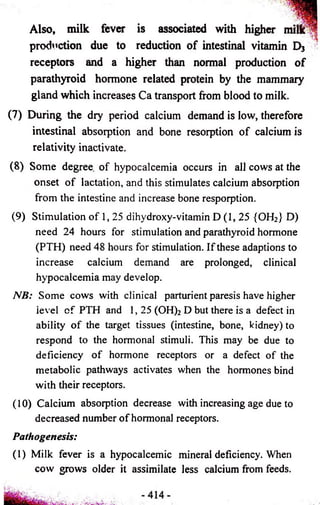 Also, milk fever is associated with higher milk 
production due to reduction of intestinal vitamin D3 
receptors and a higher than normal production of 
parathyroid hormone related protein by the mammary 
gland which increases Ca transport from blood to milk. 
(7) During the dry period calcium demand is low, therefore 
intestinal absorption and bone resorption of calcium is 
relativity inactivate. 
(8) Some degree of hypocalcemia occurs in all cows at the 
onset of lactation, and this stimulates calcium absorption 
from the intestine and increase bone resporption. 
(9) Stimulation of 1, 25 dihydroxy-vitamin D (1, 25 {OH2} D) 
need 24 hours for stimulation and parathyroid hormone 
(PTH) need 48 hours for stimulation. If these adaptions to 
increase calcium demand are prolonged, clinical 
hypocalcemia may develop. 
NB: Some cows with clinical parturient paresis have higher 
ievel of PTH and 1, 25 (OH)2 D but there is a defect in 
ability of the target tissues (intestine, bone, kidney) to 
respond to the hormonal stimuli. This may be due to 
deficiency of hormone receptors or a defect of the 
metabolic pathways activates when the hormones bind 
with their receptors. 
(10) Calcium absorption decrease with increasing age due to 
decreased number of hormonal receptors. 
Pathogenesis: 
(1) Milk fever is a hypocalcemic mineral deficiency. When 
cow grows older it assimilate less calcium from feeds. 
 