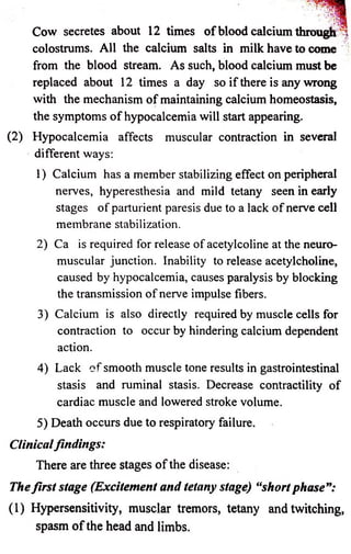 Cow secretes about 12 times of blood calcium th rough^ 
colostrums. All the calcium salts in milk have to come 
from the blood stream. As such, blood calcium must be 
replaced about 12 times a day so if there is any wrong 
with the mechanism of maintaining calcium homeostasis, 
the symptoms of hypocalcemia will start appearing. 
(2) Hypocalcemia affects muscular contraction in several 
different ways: 
1) Calcium has a member stabilizing effect on peripheral 
nerves, hyperesthesia and mild tetany seen in early 
stages of parturient paresis due to a lack of nerve cell 
membrane stabilization. 
2) Ca is required for release of acetylcoline at the neuro­muscular 
junction. Inability to release acetylcholine, 
caused by hypocalcemia, causes paralysis by blocking 
the transmission of nerve impulse fibers. 
3) Calcium is also directly required by muscle cells for 
contraction to occur by hindering calcium dependent 
action. 
4) Lack of smooth muscle tone results in gastrointestinal 
stasis and ruminal stasis. Decrease contractility of 
cardiac muscle and lowered stroke volume. 
5) Death occurs due to respiratory failure. 
Clinical findings: 
There are three stages of the disease: 
The fir s t stage (Excitement and tetany stage) ushort p h a se”: 
(1) Hypersensitivity, musclar tremors, tetany and twitching, 
spasm o f the head and limbs. 
 