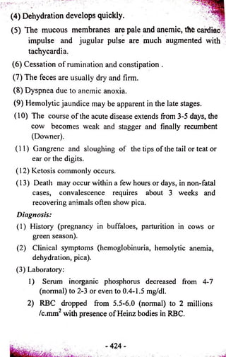 (4) Dehydration develops quickly. ' - ' ^ 1 8 
(5) The mucous membranes are pale and anemic, the cardiac 
impulse and jugular pulse are much augmented with 
tachycardia. 
(6) Cessation of rumination and constipation . 
(7) The feces are usually dry and firm. 
(8) Dyspnea due to anemic anoxia. 
(9) Hemolytic jaundice may be apparent in the late stages. 
(10) The course of the acute disease extends from 3-5 days, the 
cow becomes weak and stagger and finally recumbent 
(Downer). 
(11) Gangrene and sloughing of the tips of the tail or teat or 
ear or the digits. 
(12) Ketosis commonly occurs. 
(13) Death may occur within a few hours or days, in non-fatal 
cases, convalescence requires about 3 weeks and 
recovering animals often show pica. 
Diagnosis: 
(1) History (pregnancy in buffaloes, parturition in cows or 
green season). 
(2) Clinical symptoms (hemoglobinuria, hemolytic anemia, 
dehydration, pica). 
(3) Laboratory: 
1) Serum inorganic phosphorus decreased from 4-7 
(normal) to 2-3 or even to 0.4-1.5 mg/dl. 
2) RBC dropped from 5.5-6.0 (normal) to 2 millions 
/c.mm with presence of Heinz bodies in RBC. 
 