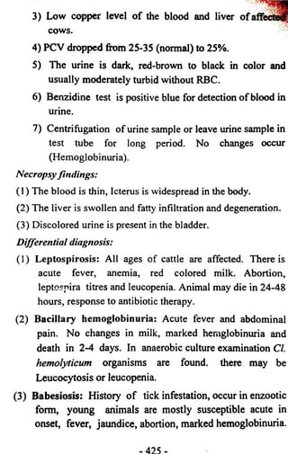 3) Low copper level o f the blood and liver o f affected' 
cows. 
4) PCV dropped from 25-35 (normal) to 25%. 
5) The urine is dark, red-brown to black in color and 
usually moderately turbid without RBC. 
6) Benzidine test is positive blue for detection o f blood in 
urine. 
7) Centrifugation of urine sample or leave urine sample in 
test tube for long period. No changes occur 
(Hemoglobinuria). 
Necropsy findings: 
(1) The blood is thin, Icterus is widespread in the body. 
(2) The liver is swollen and fatty infiltration and degeneration. 
(3) Discolored urine is present in the bladder. 
Differential diagnosis: 
(1) Leptospirosis: All ages of cattle are affected. There is 
acute fever, anemia, red colored milk. Abortion, 
leptospira titres and leucopenia. Animal may die in 24-48 
hours, response to antibiotic therapy. 
(2) Bacillary hemoglobinuria: Acute fever and abdominal 
pain. No changes in milk, marked hemglobinuria and 
death in 2-4 days. In anaerobic culture examination Cl. 
hemolyticum organisms are found, there may be 
Leucocytosis or leucopenia. 
(3) Babesiosis: History o f tick infestation, occur in enzootic 
form, young animals are mostly susceptible acute in 
onset, fever, jaundice, abortion, marked hemoglobinuria. 
 