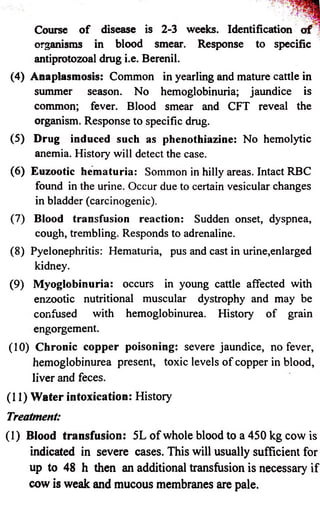 Course o f disease is 2-3 weeks. Identification o f 
organisms in blood smear. Response to specific 
antiprotozoal drug i.e. Berenil. 
(4) Anaplasmosis: Common in yearling and mature cattle in 
summer season. No hemoglobinuria; jaundice is 
common; fever. Blood smear and CFT reveal the 
organism. Response to specific drug. 
(5) Drug induced such as phenothiazine: No hemolytic 
anemia. History will detect the case. 
(6) Euzootic hematuria: Sommon in hilly areas. Intact RBC 
found in the urine. Occur due to certain vesicular changes 
in bladder (carcinogenic). 
(7) Blood transfusion reaction: Sudden onset, dyspnea, 
cough, trembling. Responds to adrenaline. 
(8) Pyelonephritis: Hematuria, pus and cast in urine,enlarged 
kidney. 
(9) Myoglobinuria: occurs in young cattle affected with 
enzootic nutritional muscular dystrophy and may be 
confused with hemoglobinurea. History of grain 
engorgement. 
(10) Chronic copper poisoning: severe jaundice, no fever, 
hemoglobinurea present, toxic levels of copper in blood, 
liver and feces. 
(11) Water intoxication: History 
Treatment: 
(1) Blood transfusion: 5L of whole blood to a 450 kg cow is 
indicated in severe cases. This will usually sufficient for 
up to 48 h then an additional transfusion is necessary if 
cow is weak and mucous membranes are pale. 
 