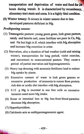 transportation and deprivation of water and food for 24 
hours during transit. It is characterized by recumbency, 
alimentary tract stasis and coma. It is a highly fatal condition. 
(5) Winter tetany: It occurs in winter season due to less 
developed pastures deficient in Mg. 
Predisposing causes: 
(1) Tetanogenic pasture: young green grass, lush grass pasture, 
sandy and laterite soil, some fertilizer are poor in Ca, Mg, 
and Na but high in K which interfere with Mg absorption 
and increase Mg excretion in urine. 
(2) Starvation, also a duration of bad weather (cold and raining 
winter), transportation for long period, violet exercise, 
and movement to unaccustomed pasture. They cause a 
period of partial starvation and hypomagnesemia. 
(3) Heavy top dressing with ammonia fertilizers lead to reduce 
Mg uptake by plants. 
(4) Excessive content of water in lush green grasses or 
excessive production of ammonia in rumen from protein 
rich diet or acidic diet interfere with Mg absorption. 
(5) 0.12 g Mg is excreted in one liter milk so excessive 
lactation need more Mg intake. 
(6) Scour or intestinal loss or Mg loss from blood parasites 
decrease Mg absorption. 
(7) Hyperthyroidism. 
(8) Calcitonin acts as antihypermagnesemic agent. 
- 429- 
 