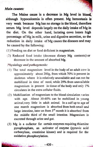 M a i n c a u s e s : 
The Maine cause is a decrease in Mg level in blood, 
although hypocalcemia is often present. Mg hemostasis is 
very weak because Mg has no storage in the blood, therefore 
serum Mg level depends largely on the daily intake o f Mg in 
the diet. On the other hand, lactating cows losses high 
percentage of Mg in milk, urine and digestive secretion, so the 
reduction in daily intake of Mg causes the diseases and may 
be caused by the following: 
(1) Feeding on diet or food deficient in magnesium. 
(2) Reduced food intake (decrease dietary Mg contents) or 
decrease in the amount of absorbed Mg. 
Physiology and pathogenesis: 
(1) The total magnesium level in the body of an adult cow is 
approximately about 200g, from which 70% is present in 
skeleton where it is relatively unavailable and can not be 
mobilized in time of need, while 29% from unavailable 
magnesium is present in tissue of the body and only 1% 
circulates in the extra cellular fluids. 
(2) Mobilization o f magnesium to the blood circulation varies 
with age. About 30-60% can be mobilized in young 
animal, very little in adult animal. In a calf up to age of 
one month magnesium is absorbed from both small and 
large intestine, later on from 3rd month it is absorbed from 
the middle third of the small intestine. Magnesium is 
excreted through urine and gut. 
(3) Mg is a cofactor for certain enzymes requiring thiamine 
pyrophosphate, an activator of enzyme (pyruvic acid 
carboxylase, creatinine kinase) and is required for the 
oxidative phosphorylation. 
430- 
 