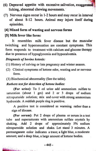 (6) Depraved appetite with excessive salivation, exaggerated 
licking, abnormal chewing movements. 
(7) Nervous signs occur in 1-2 hours and may recur in interval 
of about 8-12 hours. Animal may injure itself during 
episoides. 
[4] Mixed form of wasting and nervous forms 
[5] Milk fever like form: 
It resembles milk fever disease but the muscular 
twitching and hypersensation are constant symptoms. This 
form responds to treatment with calcium and glucose therapy 
due to presence of hypoglycemia and hypocalcemia. 
Diagnosis o f bovine ketosis: 
(1) History of calving or late pregnancy and winter season. 
(2) Clinical symptoms of ketone odor, wasting and or nervous 
form. 
(3) Biochemical abnormality (See the table). 
Rothers test fo r detection o f ketone bodies: 
(For urine): To 5 ml urine add ammonium sulfate to 
saturation (about 1 gm) and 2 or 3 drops of sodium 
nitropursside solution; mix and cover with strong ammonium 
hydroxide. A reddish purple ring is positive. 
A positive test is considered as warming rather than a 
sign of disease. 
(For serum): Put 2 drops of plasma or serum in a test 
tube and supersaturate with ammonium sulfate crystals by 
shaking. Add 2 drops of approximately 5% sodium 
nitropursside solution and shake. Let stand 3 minutes. A 
permanganate color indicates a trace; a light blue, a moderate 
amount; and a deep blue, a large amount of ketone bodies. 
445- 
 