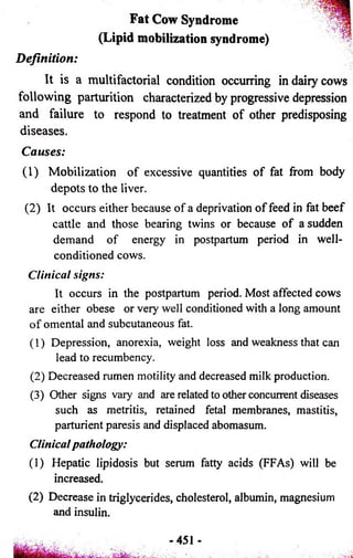 Fat Cow Syndrome 
(Lipid mobilization syndrome) 
Definition: 
It is a multifactorial condition occurring in daiiy cows 
following parturition characterized by progressive depression 
and failure to respond to treatment of other predisposing 
diseases. 
Causes: 
(1) Mobilization of excessive quantities of fat from body 
depots to the liver. 
(2) It occurs either because of a deprivation of feed in fat beef 
cattle and those bearing twins or because of a sudden 
demand of energy in postpartum period in well-conditioned 
cows. 
Clinical signs: 
It occurs in the postpartum period. Most affected cows 
are either obese or very well conditioned with a long amount 
o f omental and subcutaneous fat. 
(1) Depression, anorexia, weight loss and weakness that can 
lead to recumbency. 
(2) Decreased rumen motility and decreased milk production. 
(3) Other signs vary and are related to other concurrent diseases 
such as metritis, retained fetal membranes, mastitis, 
parturient paresis and displaced abomasum. 
Clinical pathology: 
(1) Hepatic lipidosis but serum fatty acids (FFAs) will be 
increased. 
(2) Decrease in triglycerides, cholesterol, albumin, magnesium 
and insulin. 
451 
 