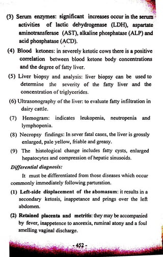 (3) Serum enzymes: significant increases occur in the serum' 
activities of lactic dehydrogenase (LDH), aspartate 
aminotransferase (AST), alkaline phosphatase (ALP) and 
acid phosphatase (ACD). 
 
(4) Blood ketones: in severely ketotic cows there is a positive 
correlation between blood ketone body concentrations 
and the degree of fatty liver. 
(5) Liver biopsy and analysis: liver biopsy can be used to 
determine the severity of the fatty liver and the 
concentration of triglycerides. 
(6) Ultrasonography of the liver: to evaluate fatty infiltration in 
dairy cattle. 
(7) Hemogram: indicates leukopenia, neutropenia and 
lymphopenia. 
(8) Necropsy findings: In sever fatal cases, the liver is grossly 
enlarged, pale yellow, friable and greasy. 
(9) The histological change includes fatty cysts, enlarged 
hepatocytes and compression of hepatic sinusoids. 
Differential diagnosis: 
It must be differentiated from those diseases which occur 
commonly immediately following parturation. 
(I) Left-side displacement of the abomasum: it results in a 
secondary ketosis, inappetance and prings over the left 
abdomen. 
(2) Retained placenta and metritis: they may be accompanied 
by fever, inappetence to anorexia, ruminal atony and a foul 
smelling vaginal discharge. 
 
