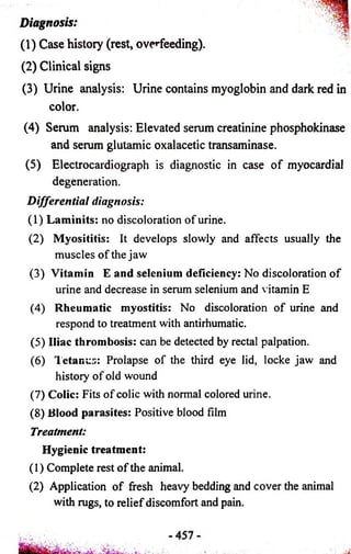 Diagnosis: 
(1) Case history (rest, overfeeding). 
(2) Clinical signs 
(3) Urine analysis: Urine contains myoglobin and dark red in 
color. 
(4) Serum analysis: Elevated serum creatinine phosphokinase 
and serum glutamic oxalacetic transaminase. 
(5) Electrocardiograph is diagnostic in case of myocardial 
degeneration. 
Differential diagnosis: 
(1) Laminits: no discoloration of urine. 
(2) Myosititis: It develops slowly and affects usually the 
muscles of the jaw 
(3) Vitamin E and selenium deficiency: No discoloration of 
urine and decrease in serum selenium and vitamin E 
(4) Rheumatic myostitis: No discoloration of urine and 
respond to treatment with antirhumatic. 
(5) Iliac thrombosis: can be detected by rectal palpation. 
(6) Tetanus: Prolapse of the third eye lid, locke jaw and 
history of old wound 
(7) Colic: Fits of colic with normal colored urine. 
(8) Blood parasites: Positive blood film 
Treatment: 
Hygienic treatment: 
(1) Complete rest of the animal. 
(2) Application of fresh heavy bedding and cover the animal 
with rugs, to relief discomfort and pain. 
 